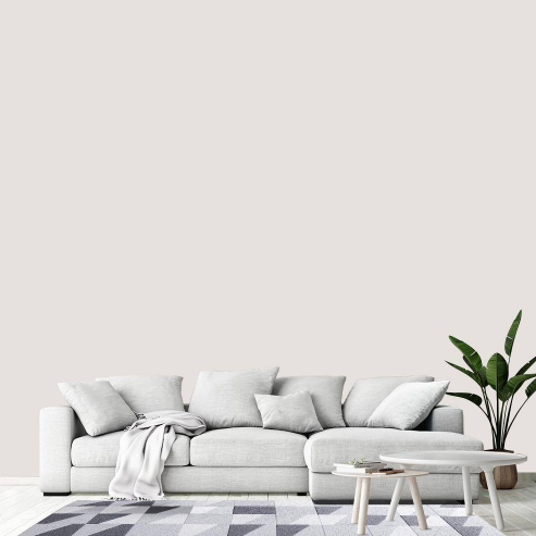Smokey White Interior Flat Paint